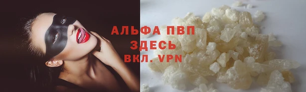 мдпв Волосово