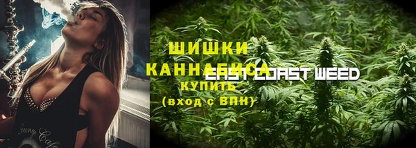 мдпв Волосово