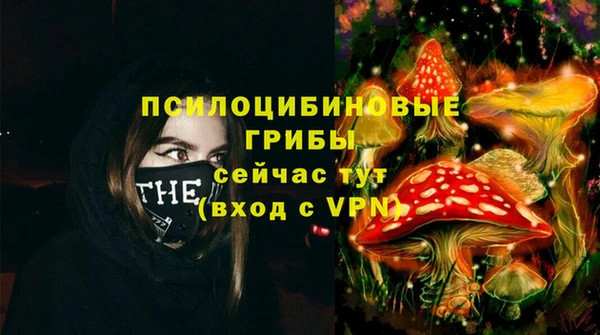 мдпв Волосово