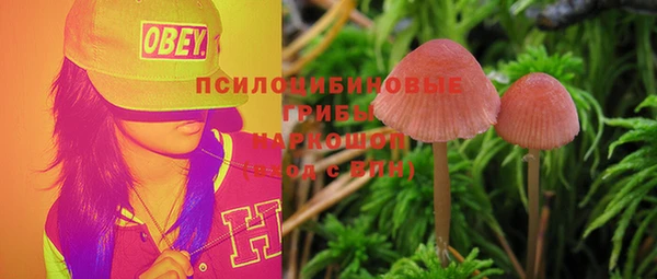 стаф Володарск